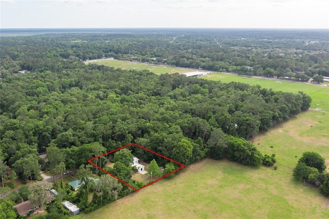 3436 SW 20th St, Gainesville, FL 32608 - birds eye view of property featuring a forest view
