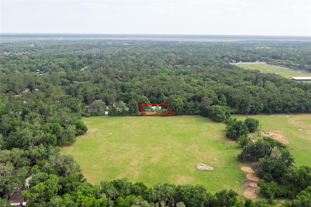 3436 SW 20th St, Gainesville, FL 32608 - bird's eye view featuring a wooded view