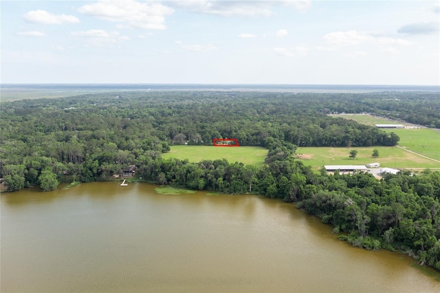 3436 SW 20th St, Gainesville, FL 32608 - bird's eye view with a water view and a forest view