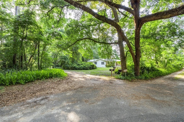 3436 SW 20th St, Gainesville, FL 32608 - view of front of property with driveway