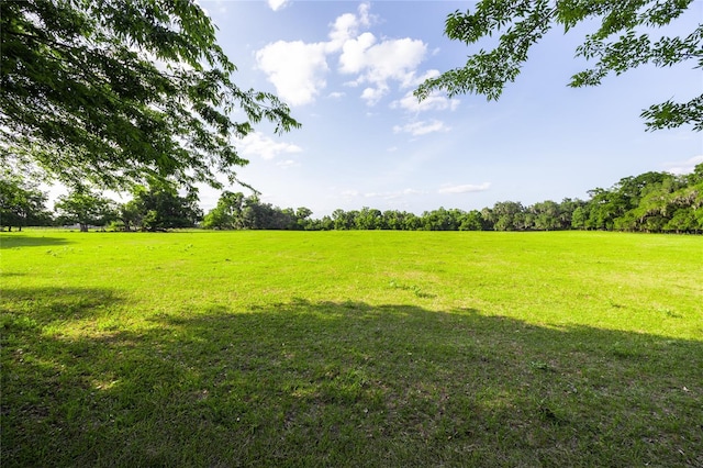 3436 SW 20th St, Gainesville, FL 32608 - view of yard featuring a rural view