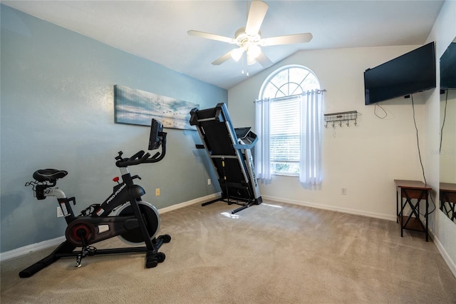 6114 NW 35th St, Gainesville, FL 32653 - exercise area featuring carpet flooring, ceiling fan, lofted ceiling, and baseboards