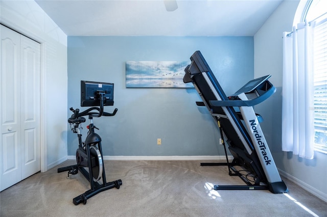 6114 NW 35th St, Gainesville, FL 32653 - workout room featuring carpet and baseboards