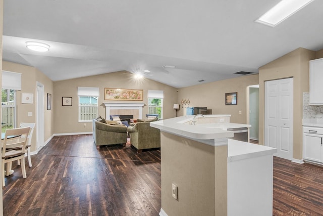 8145 SW 51st Rd, Gainesville, FL 32608 - kitchen with lofted ceiling, dark wood-type flooring, light countertops, and healthy amount of natural light