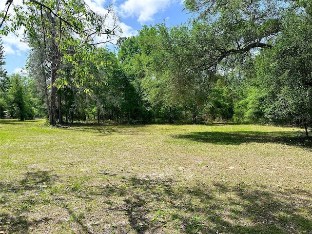 view of yard featuring a view of trees