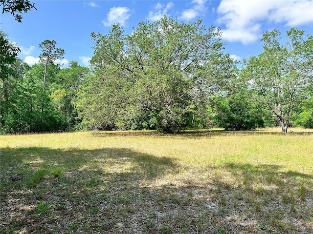 view of yard with a view of trees