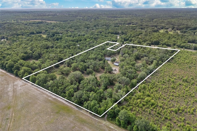 bird's eye view with a forest view