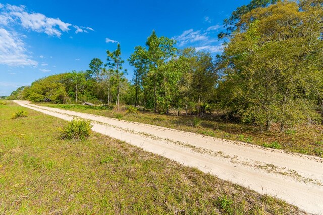 Ne 65 Street, Williston, FL 32696 - photo 1