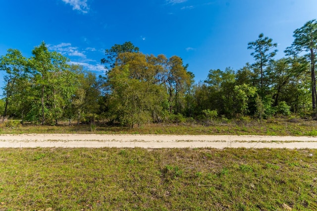 Ne 65 Street, Williston, FL 32696 - photo 2