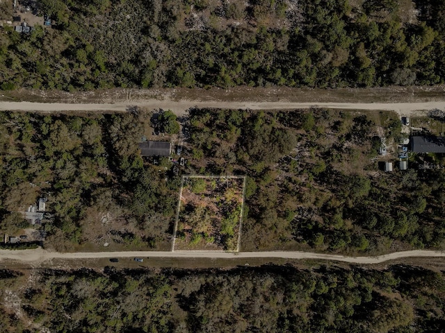 Ne 65 Street, Williston, FL 32696 - photo 4