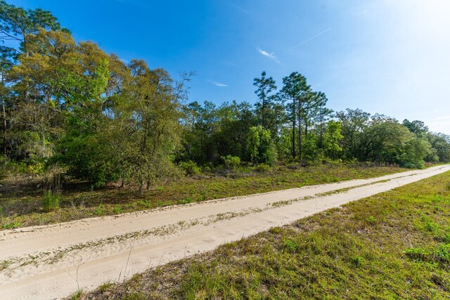 Ne 65 Street, Williston, FL 32696 - photo 5