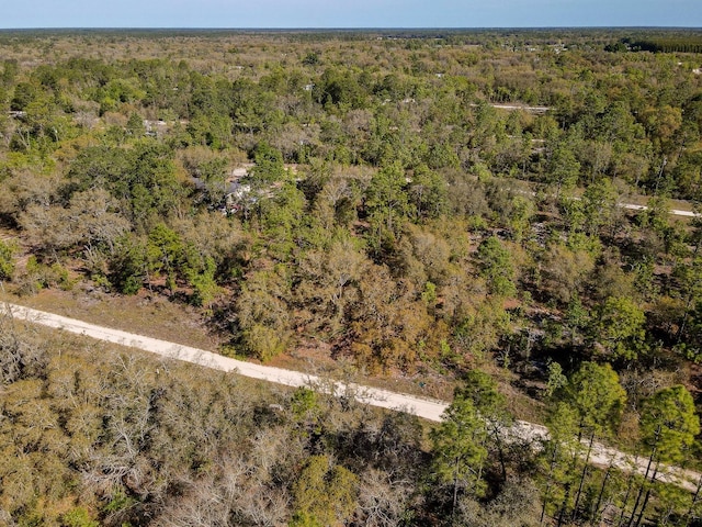 Ne 65 Street, Williston, FL 32696 - photo 6