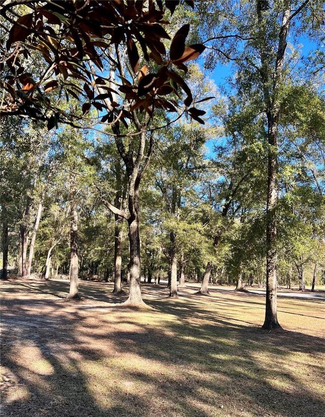 21350 NW 217th Dr, High Springs, FL 32643 - photo 9