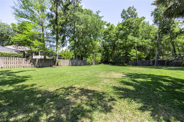 10312 SW 23rd Ave, Gainesville, FL 32607 - view of yard