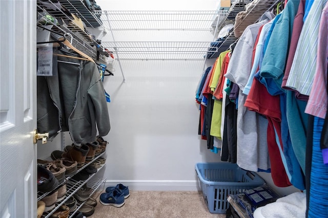 10312 SW 23rd Ave, Gainesville, FL 32607 - walk in closet featuring carpet flooring