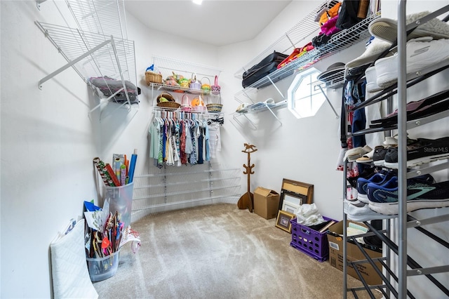 10312 SW 23rd Ave, Gainesville, FL 32607 - walk in closet with carpet floors