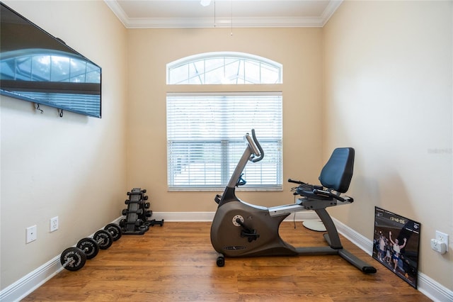 10312 SW 23rd Ave, Gainesville, FL 32607 - exercise room featuring wood finished floors, crown molding, and baseboards