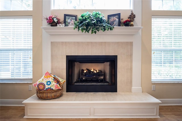 10312 SW 23rd Ave, Gainesville, FL 32607 - detailed view of baseboards, a warm lit fireplace, and wood finished floors