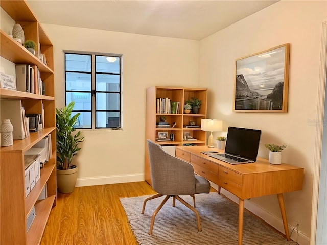 1041 NE 10th Ave, Gainesville, FL 32601 - home office featuring light wood finished floors and baseboards