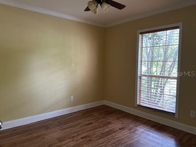 4915 NW 29th Pl, Gainesville, FL 32606 - photo 5