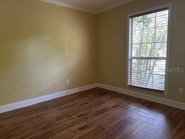 4915 NW 29th Pl, Gainesville, FL 32606 - photo 8
