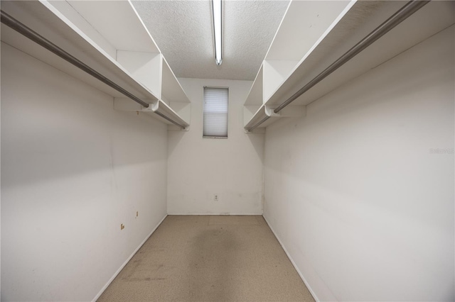walk in closet featuring light colored carpet