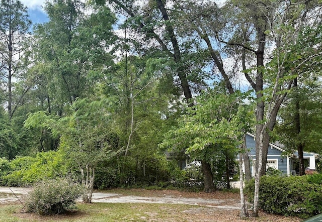 540 Arthur Moore Dr, Green Cove Springs, FL 32043 - photo 4