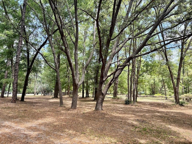 540 Arthur Moore Dr, Green Cove Springs, FL 32043 - photo 45
