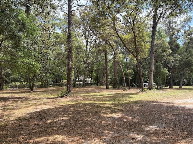 540 Arthur Moore Dr, Green Cove Springs, FL 32043 - photo 46