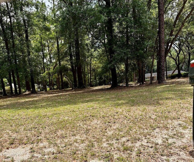 540 Arthur Moore Dr, Green Cove Springs, FL 32043 - photo 47