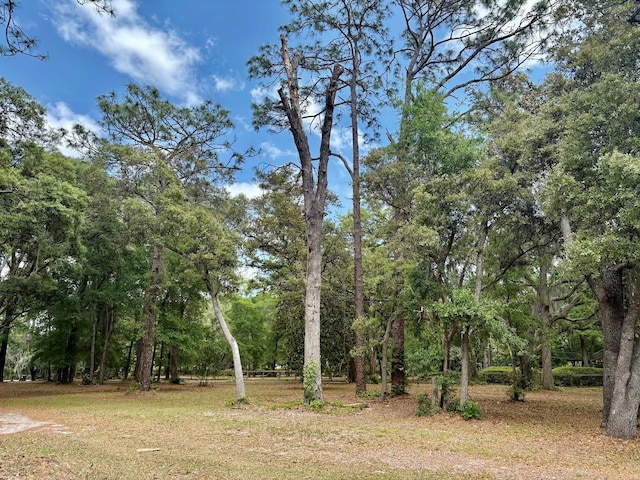 540 Arthur Moore Dr, Green Cove Springs, FL 32043 - photo 48
