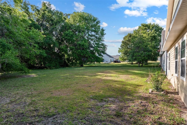 view of yard