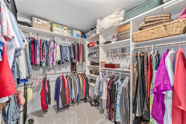 spacious closet featuring carpet