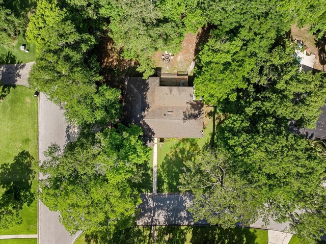 bird's eye view