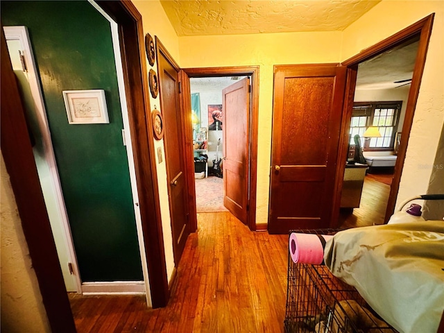 228 NW 4th Ave, Gainesville, FL 32601 - photo 50
