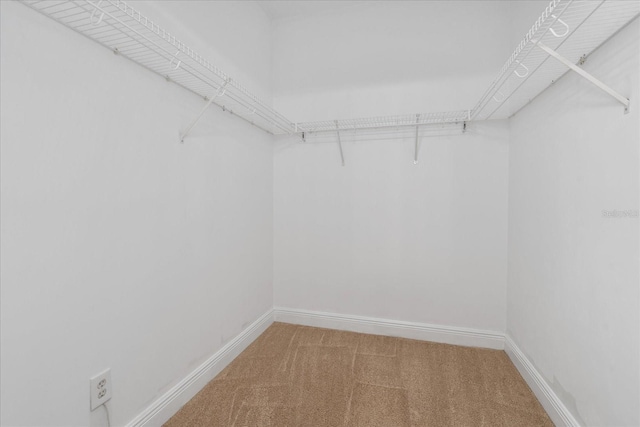 339 NE 2nd Ave, Gainesville, FL 32601 - spacious closet featuring carpet flooring