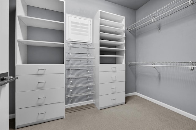 555 NW 134th Way, Newberry, FL 32669 - walk in closet with carpet flooring