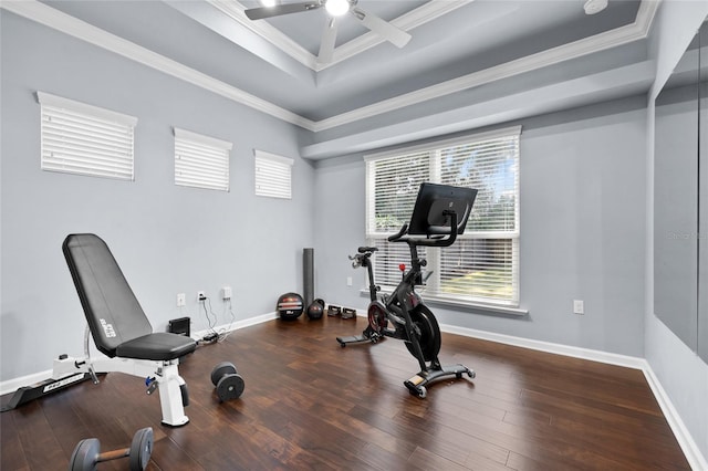 555 NW 134th Way, Newberry, FL 32669 - workout area with a ceiling fan, a tray ceiling, plenty of natural light, and wood finished floors