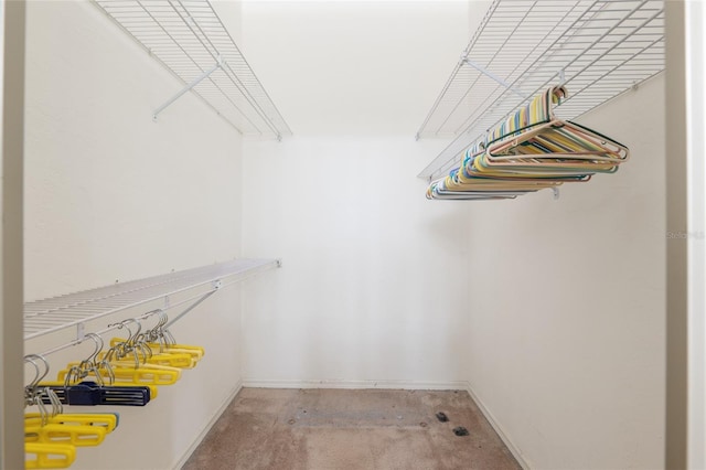 1020 NW 124th Dr, Newberry, FL 32669 - view of walk in closet
