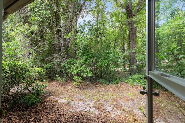 1020 NW 124th Dr, Newberry, FL 32669 - view of yard