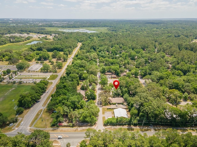 aerial view of a forest and a large body of water