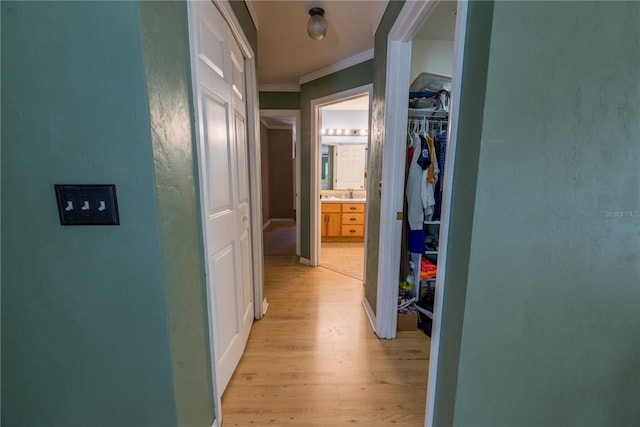 5876 SW 52nd Ter, Lake Butler, FL 32054 - hall with a sink, ornamental molding, and light wood-style flooring