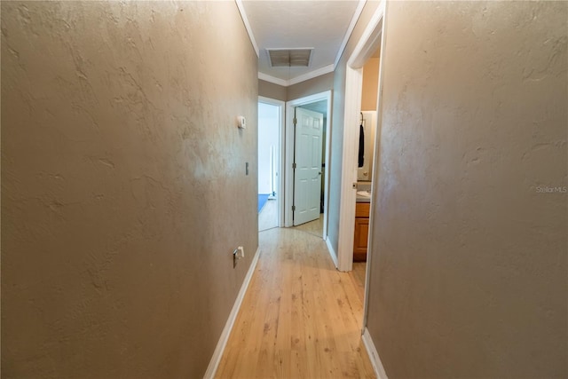 5876 SW 52nd Ter, Lake Butler, FL 32054 - hallway with visible vents, light wood-style floors, crown molding, and baseboards