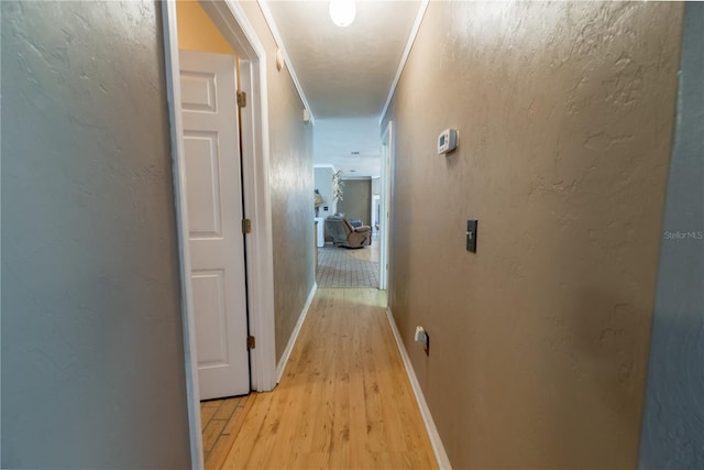 5876 SW 52nd Ter, Lake Butler, FL 32054 - hallway featuring light wood-style floors and baseboards