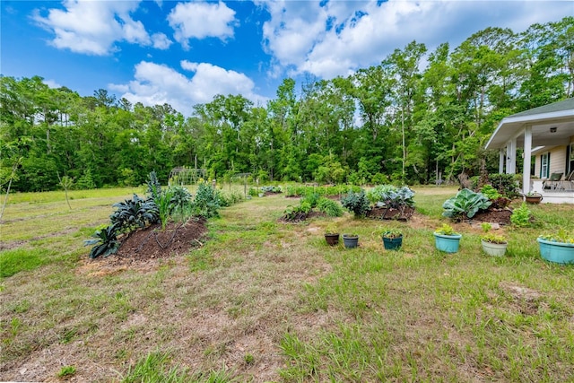 5876 SW 52nd Ter, Lake Butler, FL 32054 - view of yard with a garden