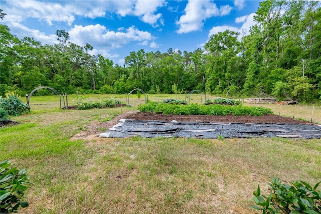 5876 SW 52nd Ter, Lake Butler, FL 32054 - view of yard