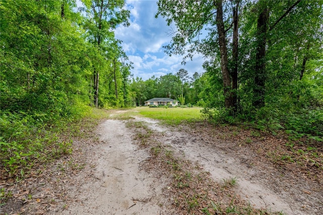 5876 SW 52nd Ter, Lake Butler, FL 32054 - view of road with a view of trees and dirt driveway