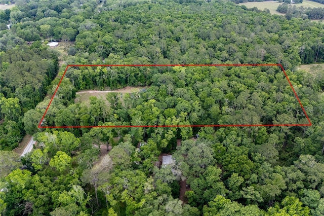 5876 SW 52nd Ter, Lake Butler, FL 32054 - aerial view featuring a view of trees