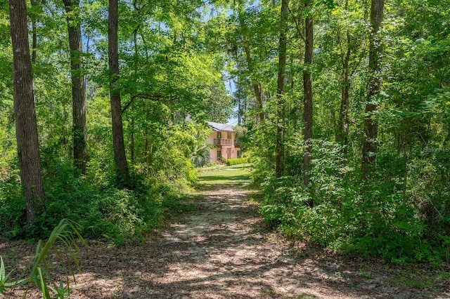 view of road featuring driveway