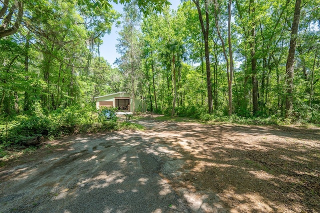 view of yard featuring dirt driveway, a wooded view, and a carport